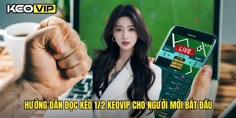 Hướng dẫn đọc kèo 1/2 Keovip cho người mới bắt đầu
