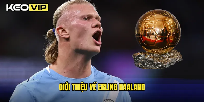Giới thiệu về Erling Haaland