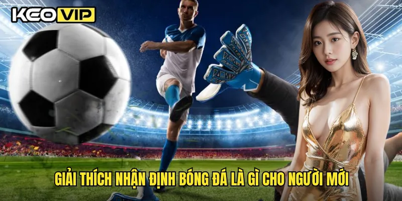 Giải thích nhận định bóng đá là gì cho người mới